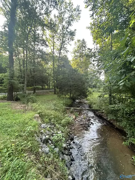 3.9 Acres County Road 212, Collinsville, AL 35961