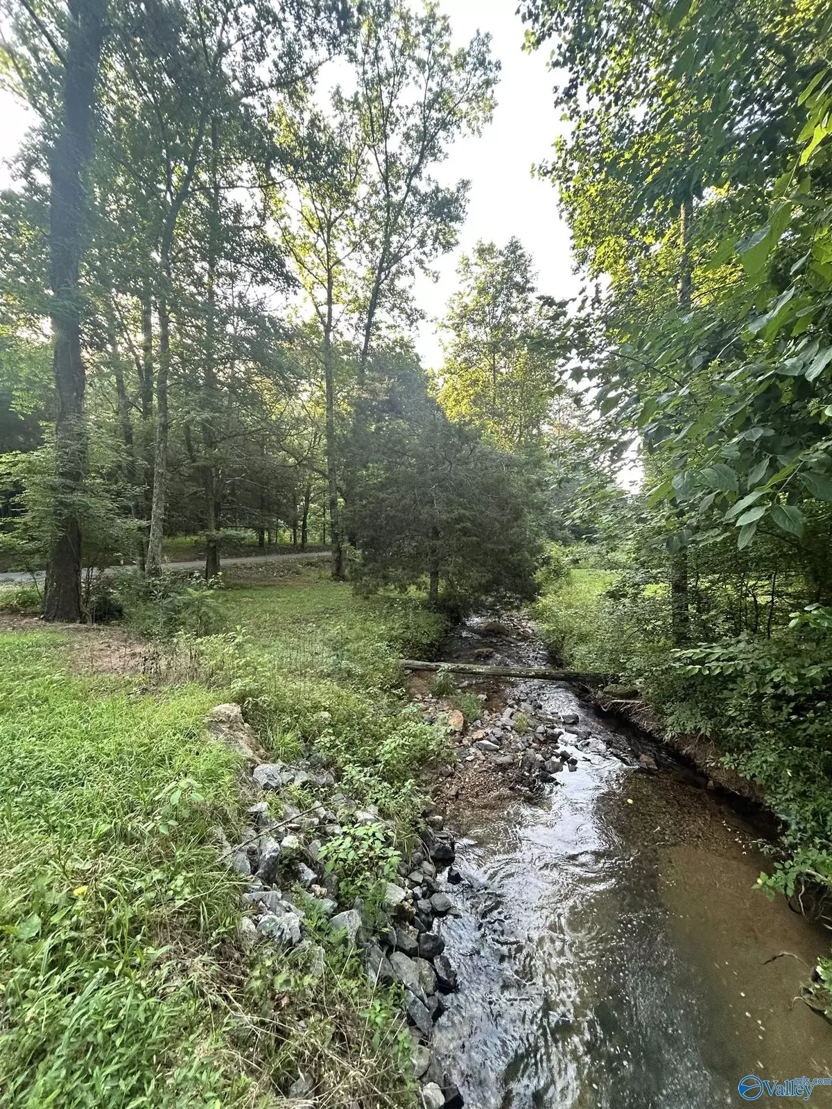 Collinsville, AL 35961,3.9 Acres County Road 212