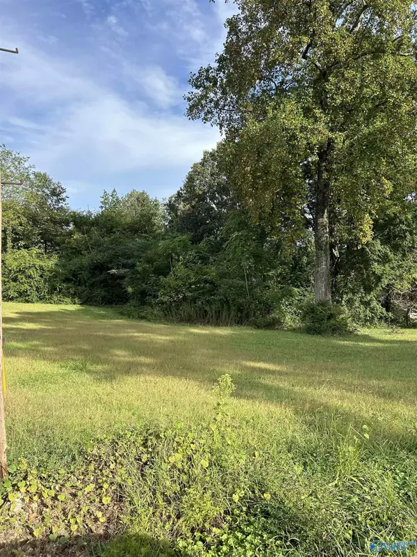 Guntersville, AL 35976,16-17-1 Jarmon Road