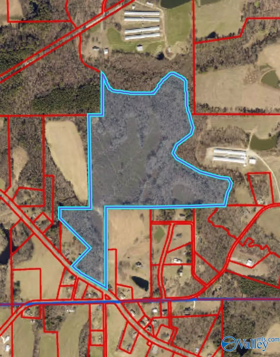 Boaz, AL 35957,69 Acres County Road 4