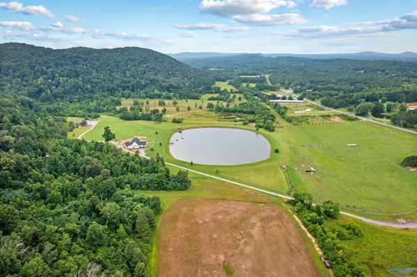 10.0 Crimson Lake Drive, Glencoe, AL 35905