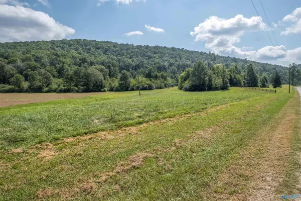 Glencoe, AL 35905,10.0 Crimson Lake Drive