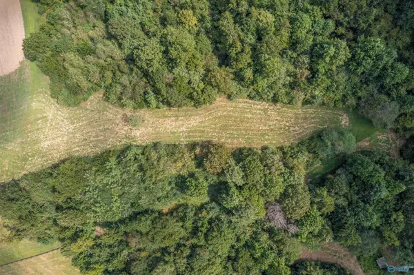 Glencoe, AL 35905,10.0 Crimson Lake Drive