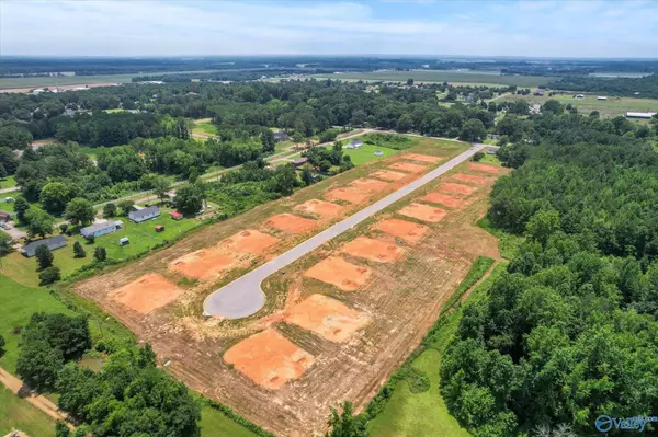 Tanner, AL 35671,Lot 3 Percy Drive