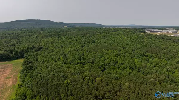 Toney, AL 35773,SEC 22 Monroe Road