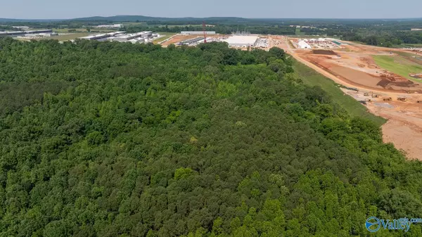 Toney, AL 35773,SEC 22 Monroe Road