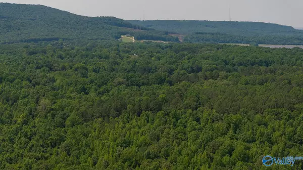 Toney, AL 35773,SEC 22 Monroe Road