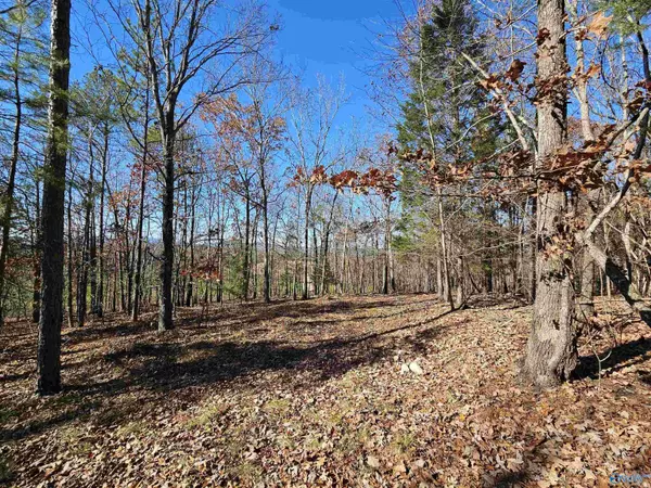 Piedmont, AL 36272,1340 County Road 45