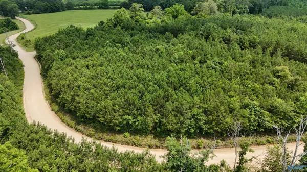 Collinsville, AL 35961,1150 County Road 865