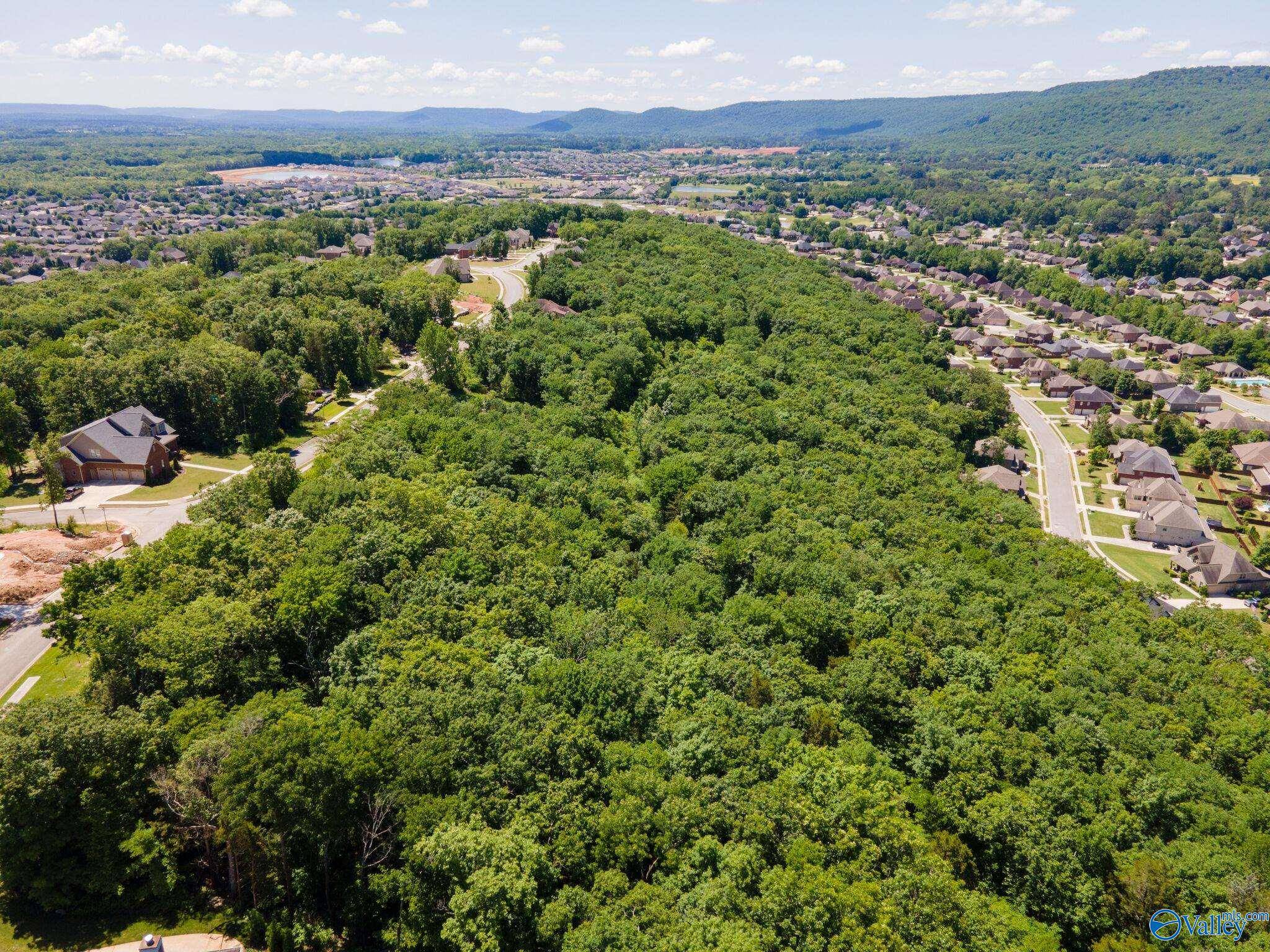 4631 Saddle Ridge Drive #LOT 8, Owens Cross Roads, AL 35763