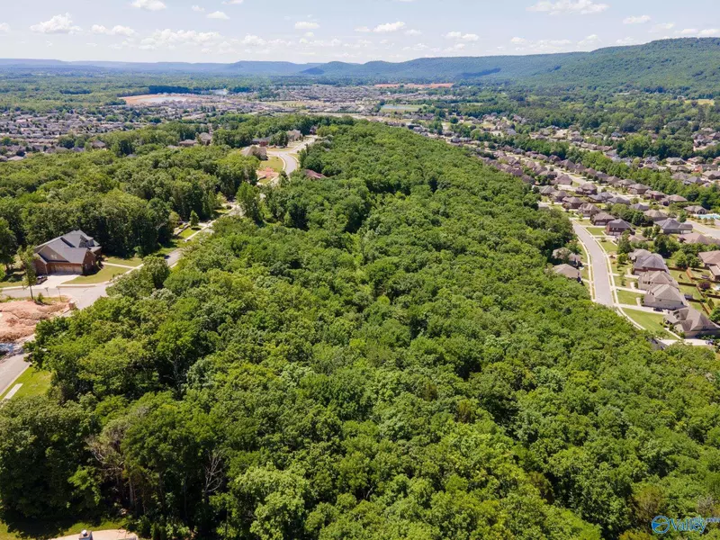 4631 Saddle Ridge Drive #LOT 8, Owens Cross Roads, AL 35763