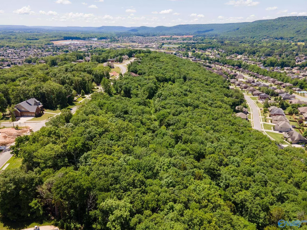 Owens Cross Roads, AL 35763,4631 Saddle Ridge Drive #LOT 8