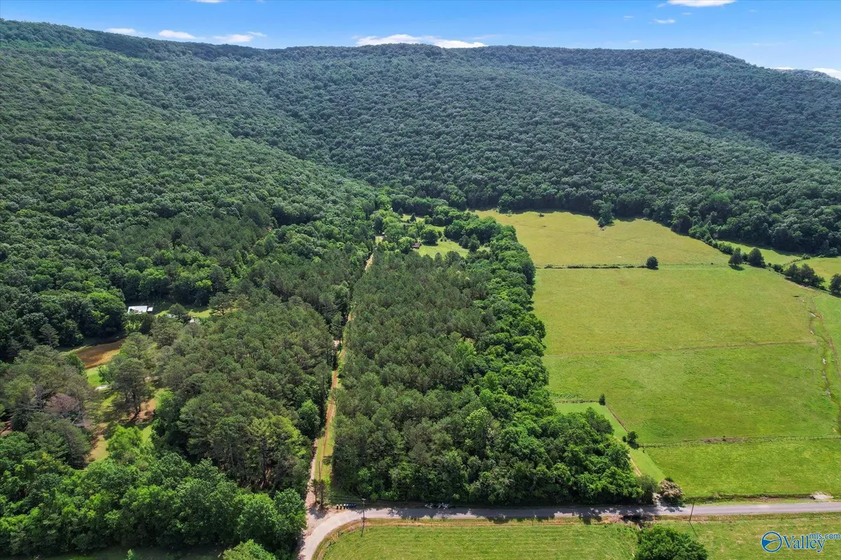 New Market, AL 35761,593 Sharps Hollow Road