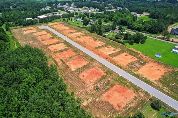 Tanner, AL 35671,Lot 13 Percy Drive