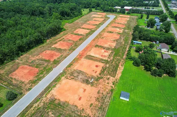 Tanner, AL 35671,Lot 20 Percy Drive