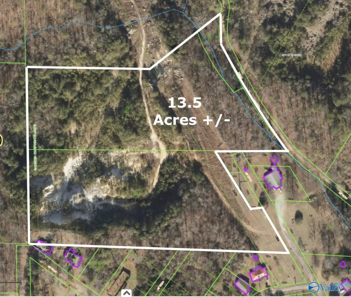 Gadsden, AL 35901,13.5 +/- Acres Druid Avenue