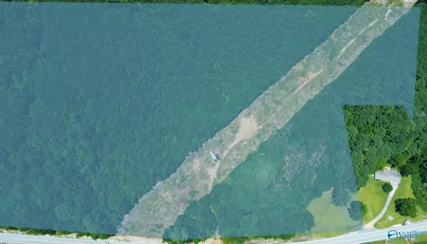 Piedmont, AL 36272,22 Acres US Hwy 278