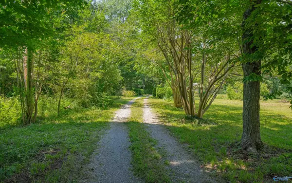 Joppa, AL 35087,10825 Alabama Highway 67 S