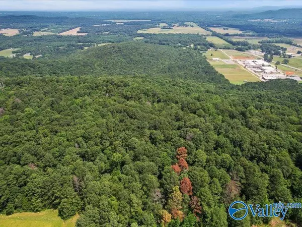 Somerville, AL 35670,SITE 2A&2B S All Jersey Road