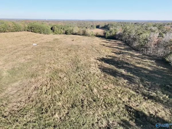 5 Acres Pleasant Hill Church Road, Boaz, AL 35956