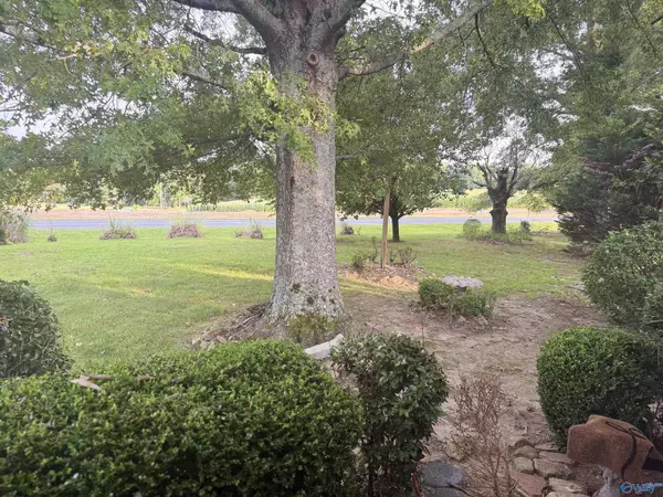 Collinsville, AL 35961,413 County Road 101