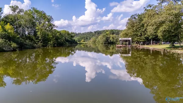 136 Bluewater Landing Road, Rogersville, AL 35652