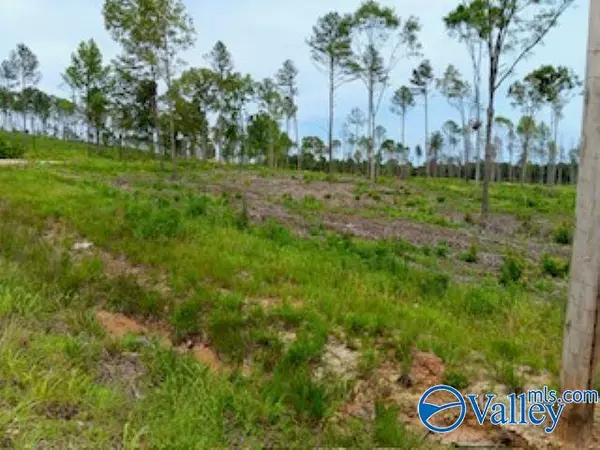 Gaylesville, AL 35973,Lots 20 & 21 County Road 91