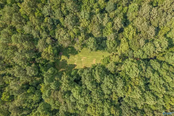 Attalla, AL 35954,50 Acres Scenic Highway