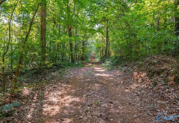 Attalla, AL 35954,50 Acres Scenic Highway