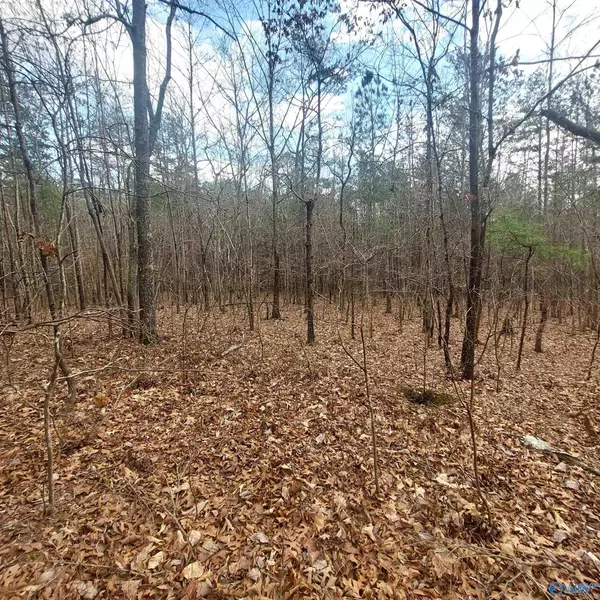 Valley Head, AL 35989,40.21 Acres County Road 239