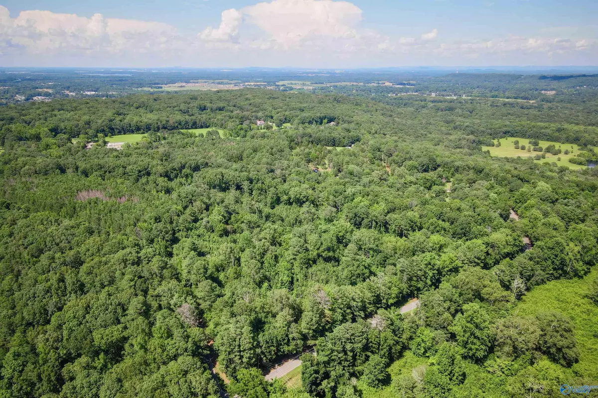 Decatur, AL 35603,5 Acres Part A Willow Bend Road