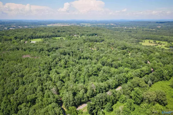 5 Acres Part B Willow Bend Road, Decatur, AL 35603
