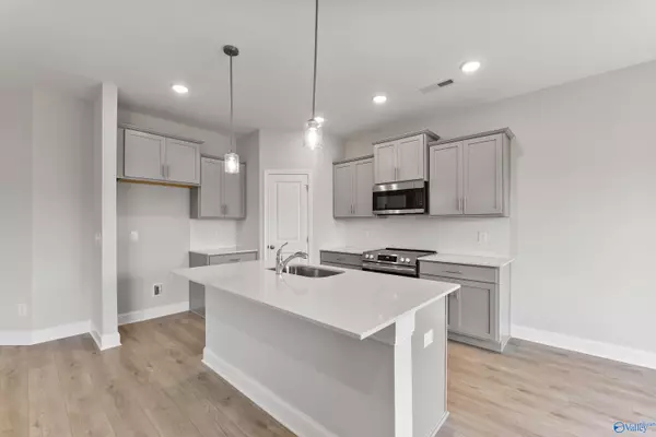 206 Pine Island Avenue, Toney, AL 35773