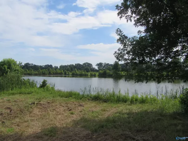 Lot 12 County Road 487, Moulton, AL 35650