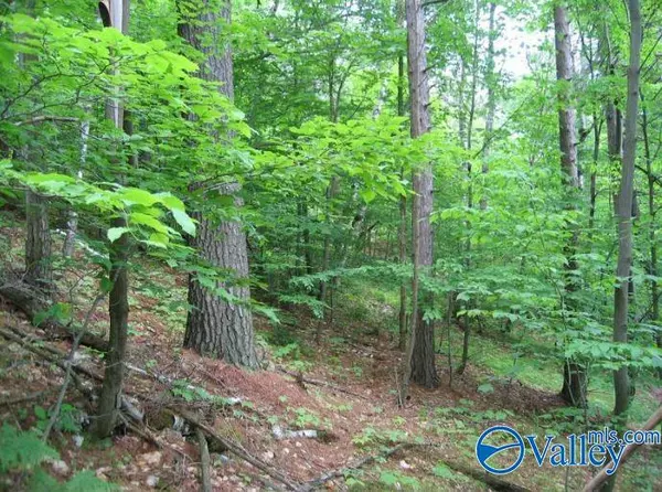 Ashland, AL 36251,1 County Road 31