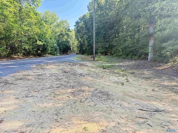 Princeton, AL 35766,32 ac County Road 303