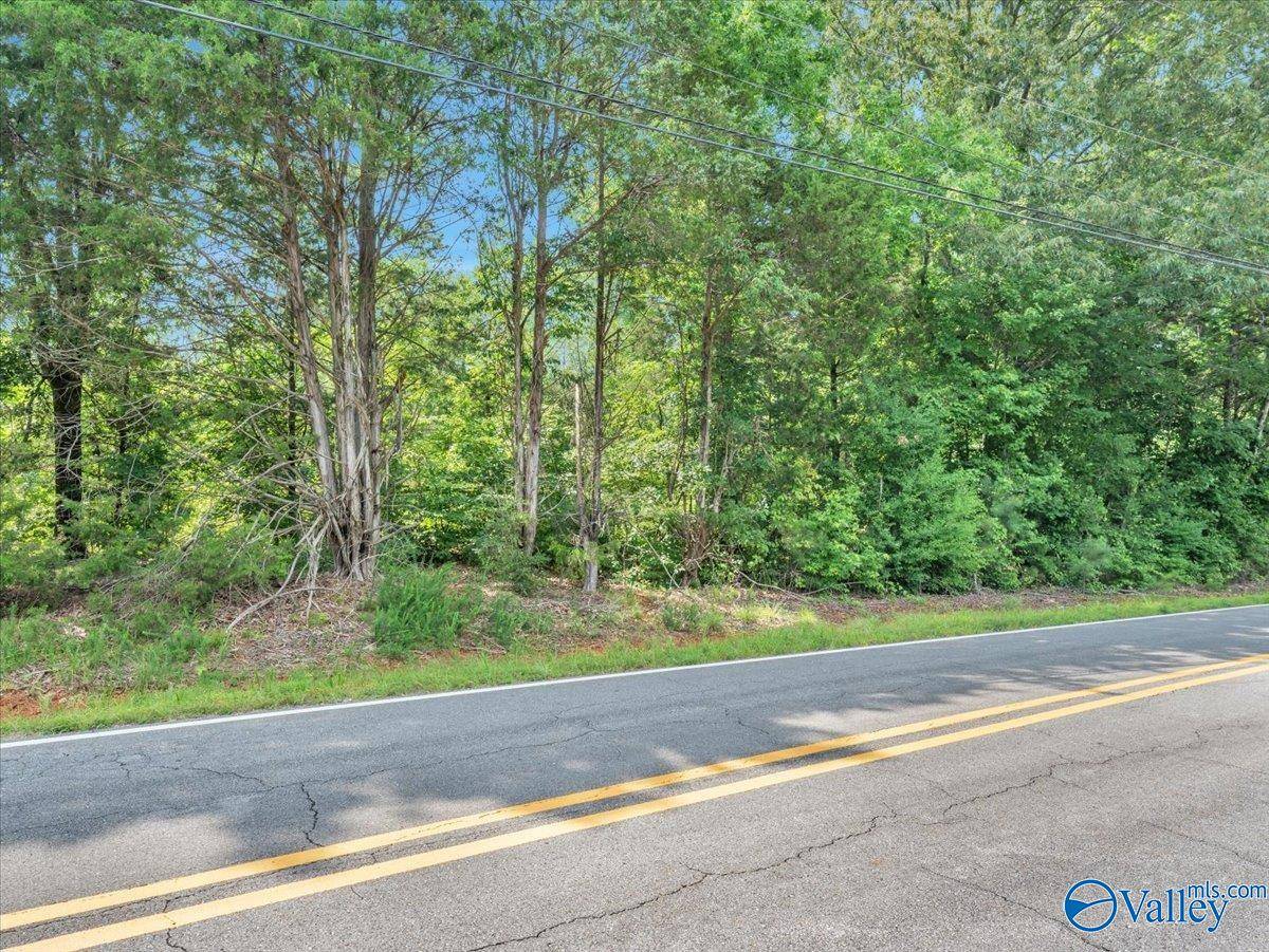 6.5 Roy Davis Road, New Market, AL 35761