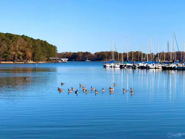 Leesburg, AL 35983,14 County Road 564