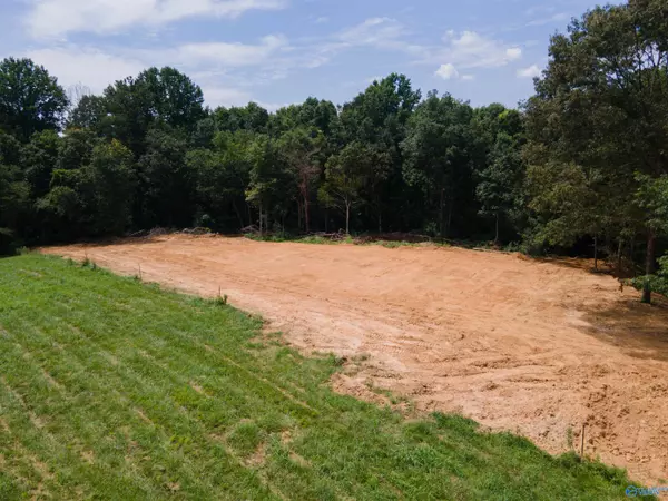 Baileyton, AL 35019,1717 County Road 1579