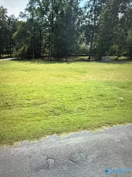 144 Friar Tuck Way, Fyffe, AL 35971