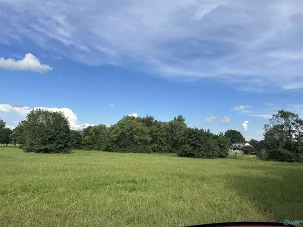 Athens, AL 35611,8.9 Acres Hwy 31