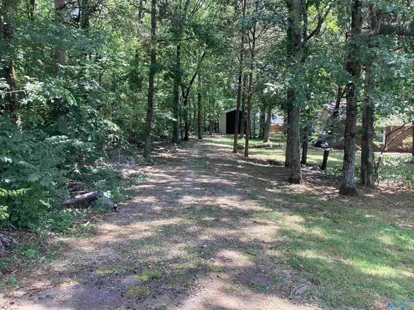 Trinity, AL 35673,81 Sharon Avenue