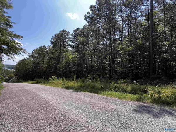 Leesburg, AL 35983,1.71 Acres County Road 592