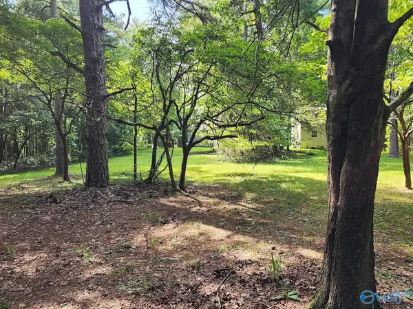 Mentone, AL 35984,429 A County Road 627