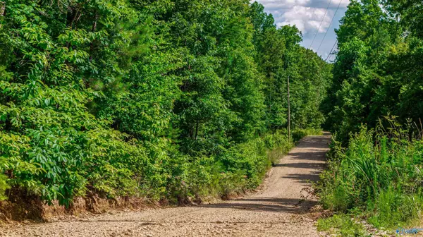 Mentone, AL 35984,429 A County Road 627