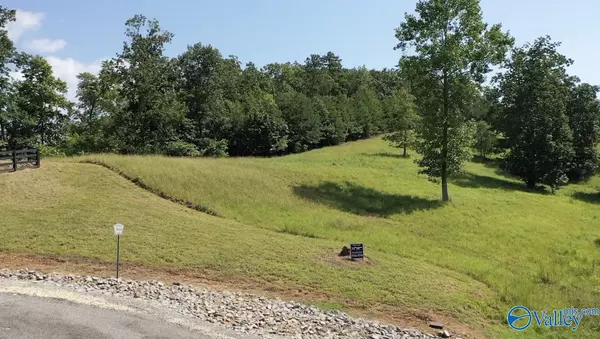 Cedar Bluff, AL 35959,Lot 303 County Road 1022 ##303