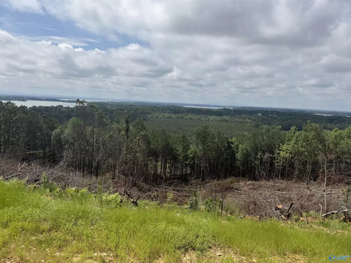 Cedar Bluff, AL 35959,Lot 6 County Road 1022 ##6
