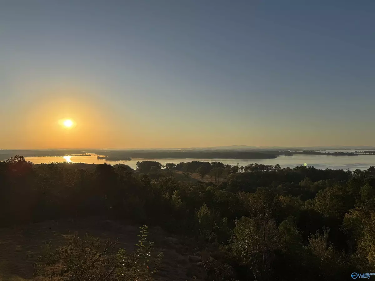 Cedar Bluff, AL 35959,Lot 6 County Road 1022 ##6