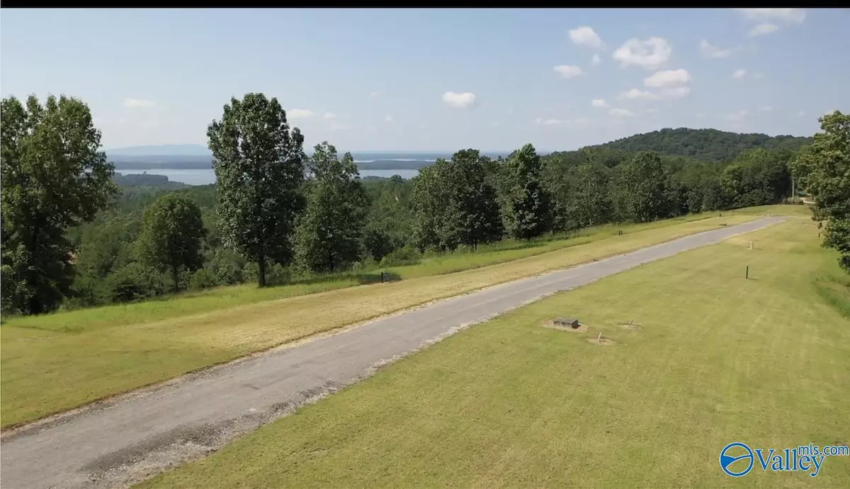 Cedar Bluff, AL 35959,Lot 206 County Road 1022 ##206