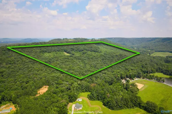 Somerville, AL 35670,80 acres Pines Church Road